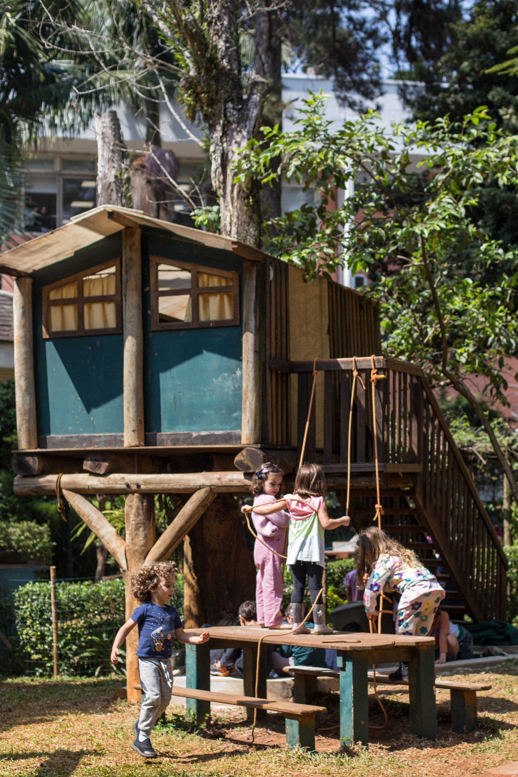 Crianças brincando no pátio da Escola Waldorf Rudolf Steiner com casa na árvore de madeira.