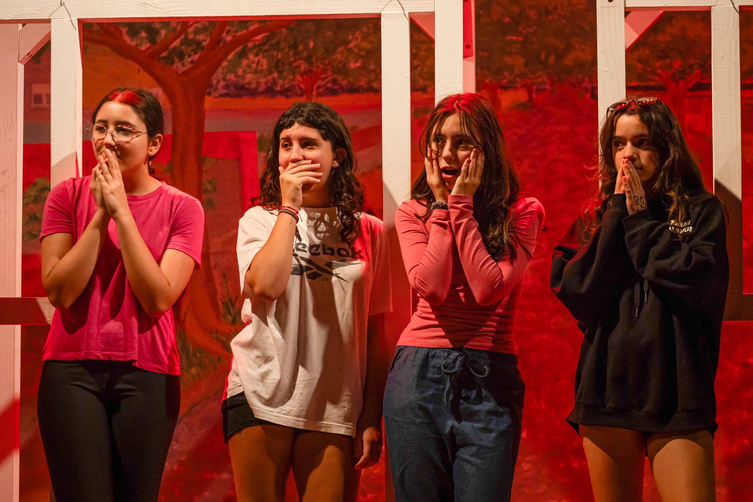 Jovens alunas em cena teatral ou apresentação escolar na Escola Waldorf Rudolf Steiner, com expressões de emoção.